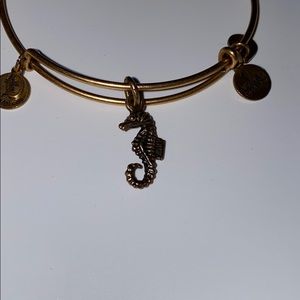 Alex and ani bangle